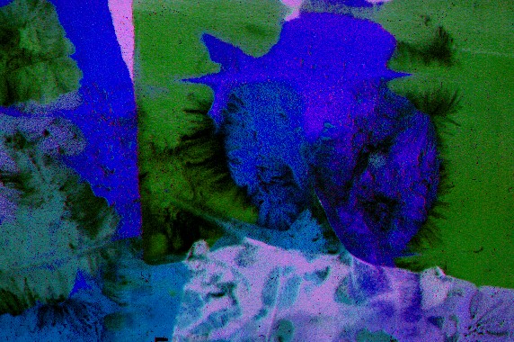 jpg23.jpg